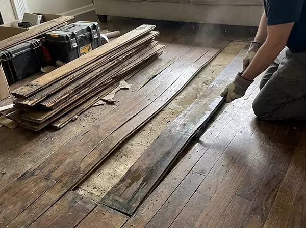 Water Damage Drying in Waleska