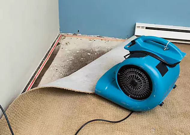 Your Water Damage Experts in Waleska, GA