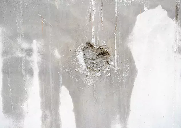 Your Mold Mitigation Solutions Partner in Waleska, GA