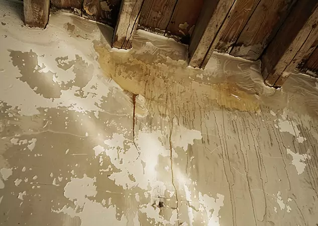 Your Trusted Restoration Company in Waleska, GA