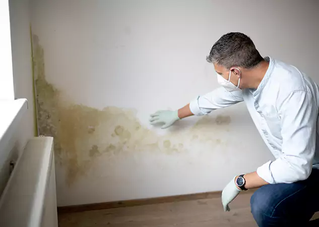 Reach Our Remediation Team Before Damage Grows in Waleska, GA!