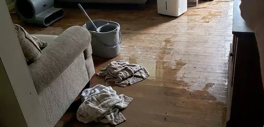 Professional Basement Water Remediation Services in Waleska, GA