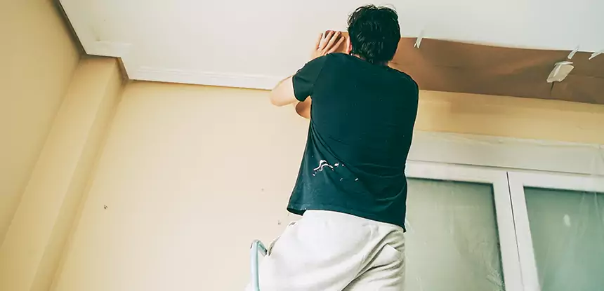Ceiling Water Damage Repair in Waleska
