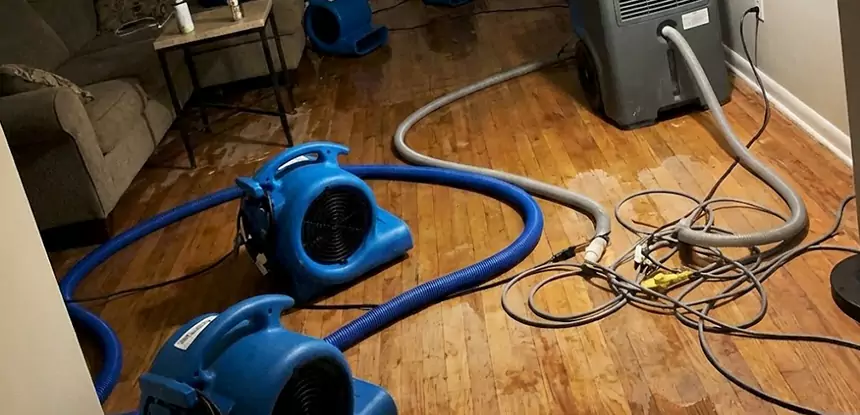 Basement Flood Restoration Services in Waleska