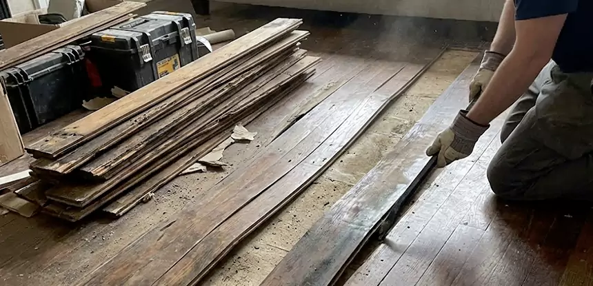 Wood Rot and Fungus Repair in Waleska