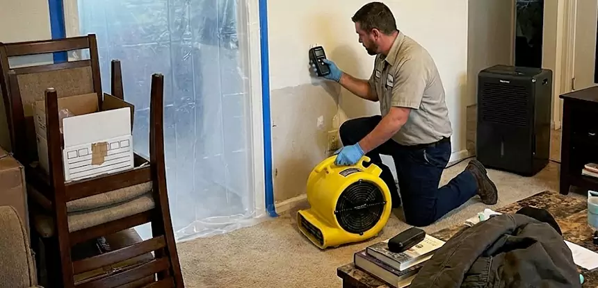 Carpet Water Damage Repair Waleska