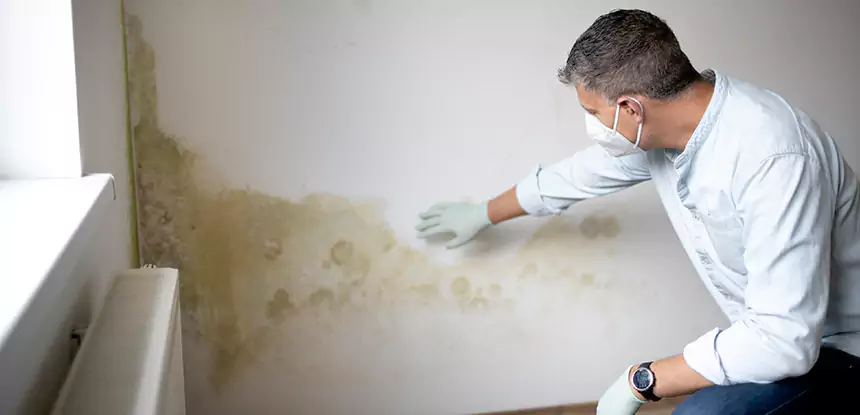 Mold and Water Damage Repair in Waleska