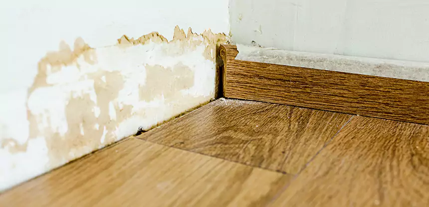 Professional Fix Water Damaged Wood Services in Waleska, GA