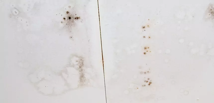 Professional Water Stain Repair Services in Waleska, GA