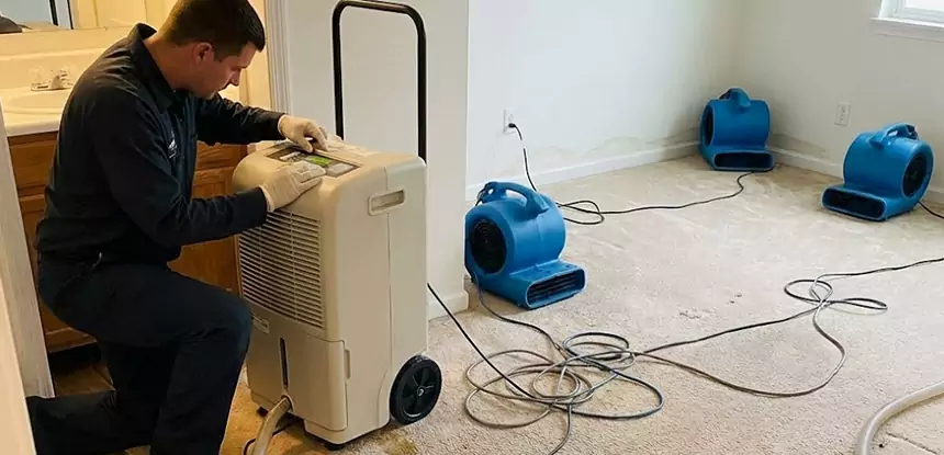 Professional Wet Carpet Removal Services in Waleska, GA