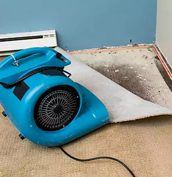 Why Waleska Trusts Waleska Restoration Pro for Carpet Flood Recovery?