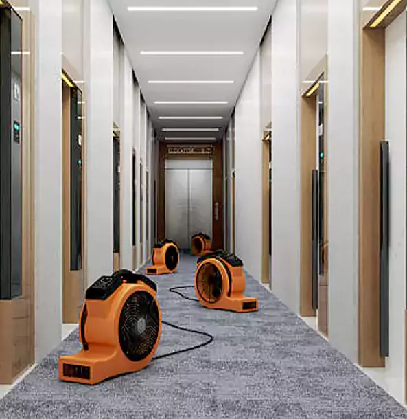 Why Waleska Trusts Waleska Restoration Pro?