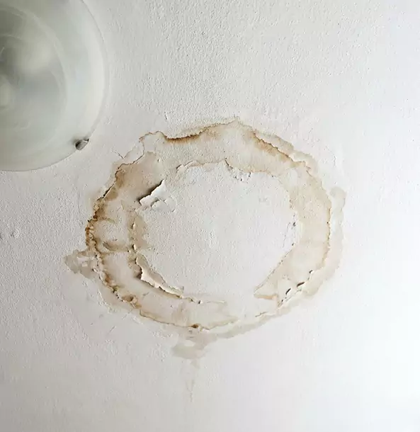 Why Waleska Property Owners Choose Waleska Restoration Pro for Ceiling Water Damage Restoration?