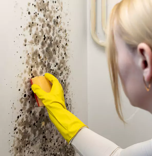 Why Waleska Restoration Pro Leads Mold Remediation in Waleska?