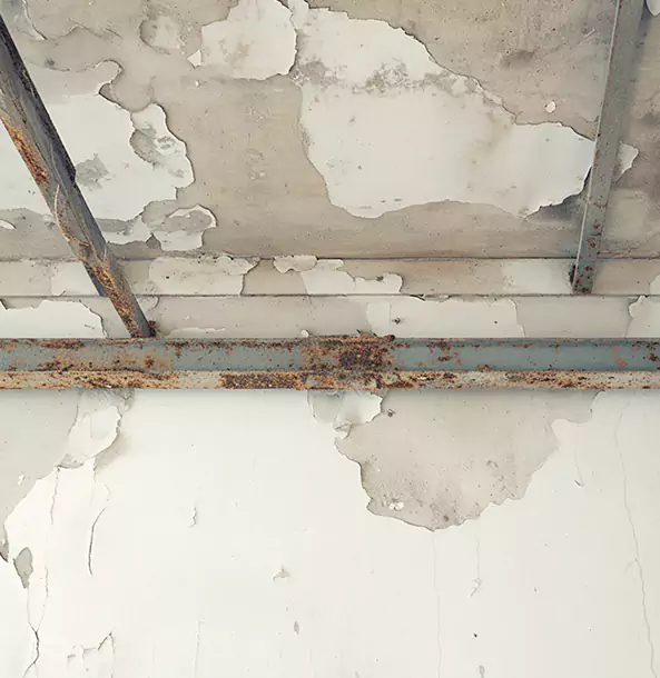 Why Waleska Restoration Pro Is the Right Choice in Waleska, GA?