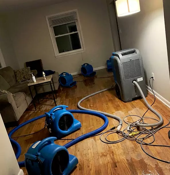 Why Waleska Property Owners Rely on Waleska Restoration Pro for Remediation?