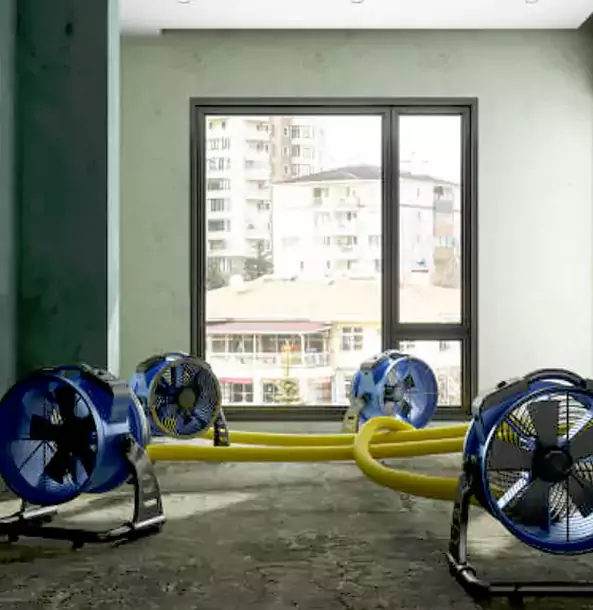 Why Waleska Property Owners Trust Waleska Restoration Pro for Water Damage Drying?