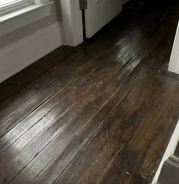 Why Waleska Homeowners Trust Waleska Restoration Pro to Fix Water Damaged Wood?
