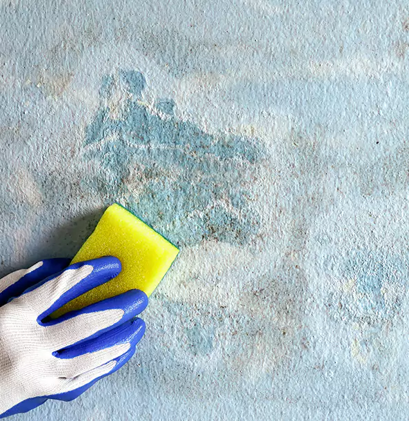 Why Waleska Restoration Pro Is the Right Choice in Waleska, GA?