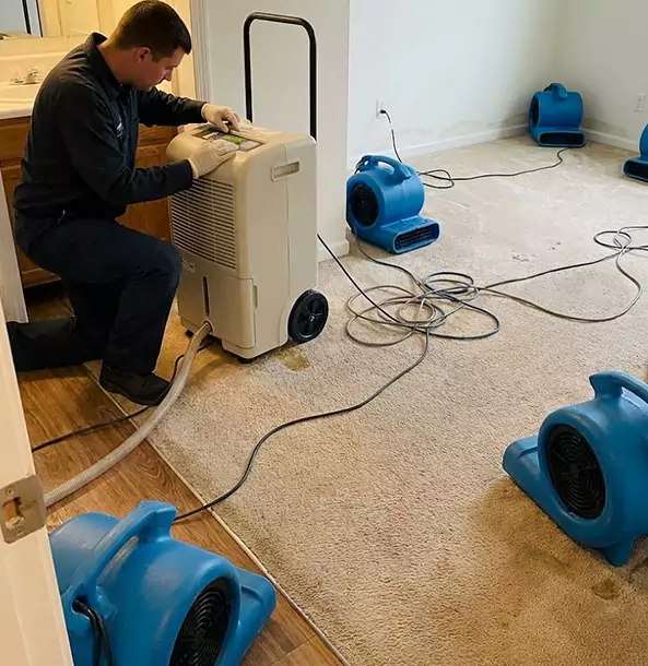 Why Waleska Homeowners and Businesses Trust Waleska Restoration Pro for Carpet Drying?