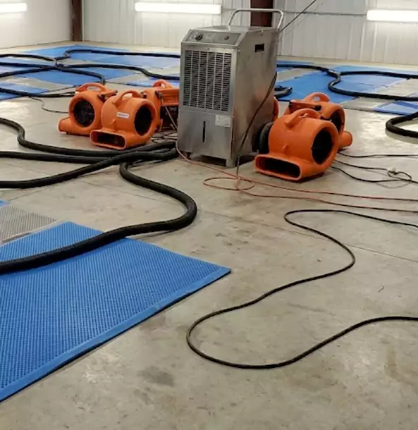 Why Waleska Homeowners and Businesses Choose Waleska Restoration Pro for Wet Carpet Removal?