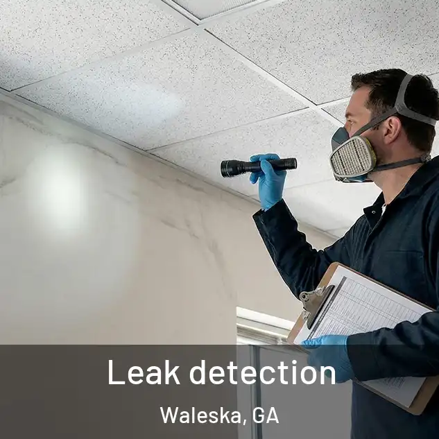  Leak detection Waleska, GA