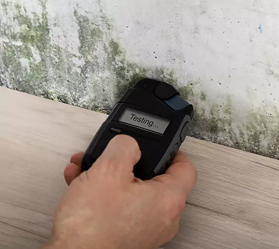 Mold Remediation Service Waleska