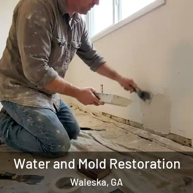  Water and Mold Restoration Waleska, GA