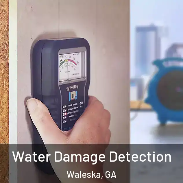  Water Damage Detection Waleska, GA