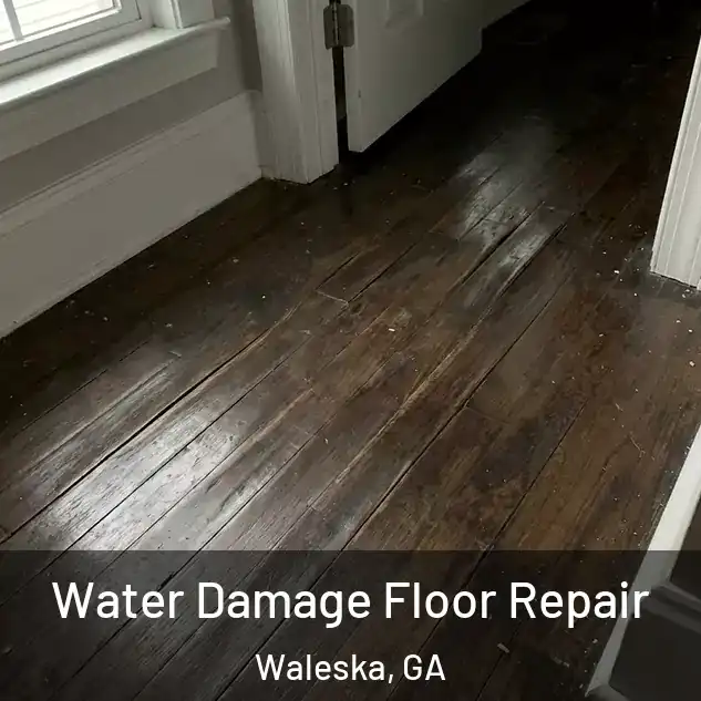  Water Damage Floor Repair Waleska, GA