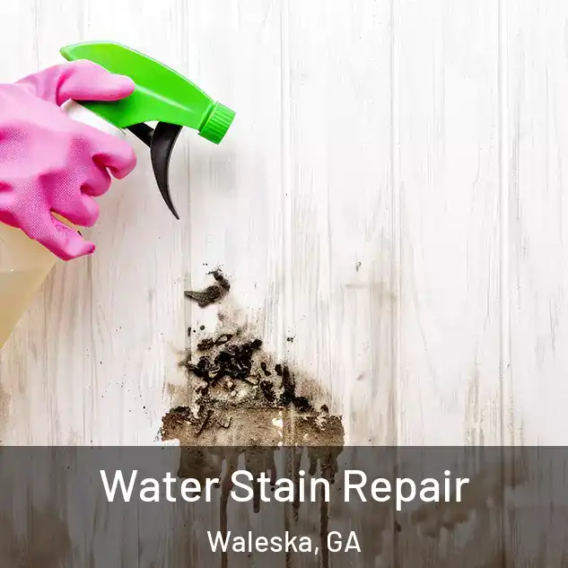  Water Stain Repair Waleska, GA