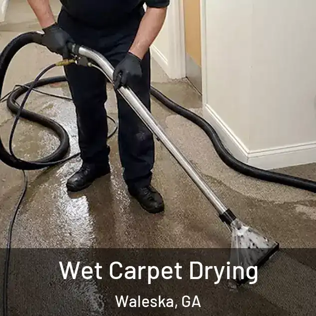  Wet Carpet Drying Waleska, GA
